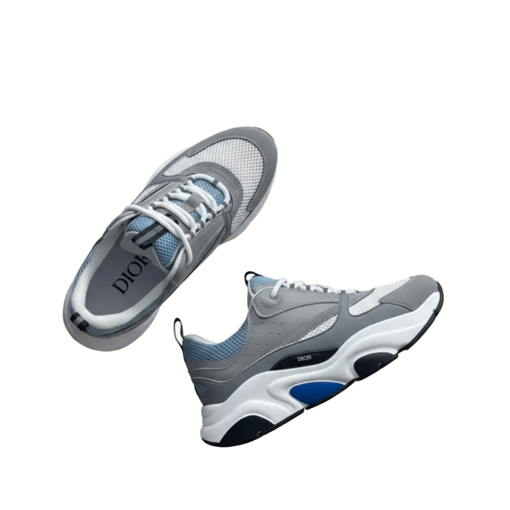 Dior B22