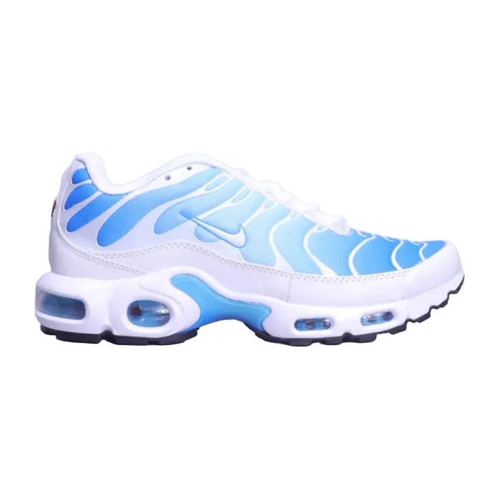 Air max tn