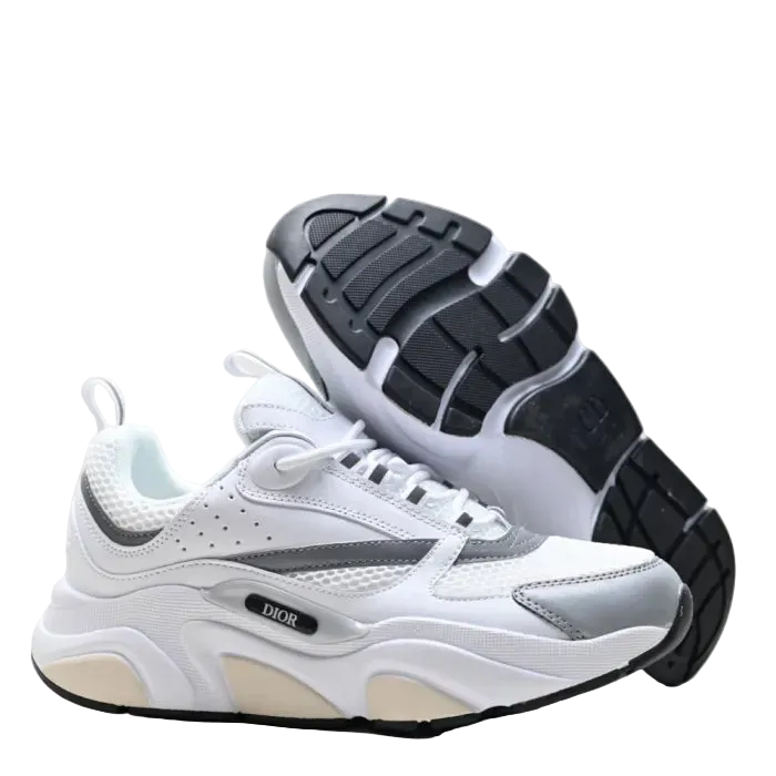 Dior B22