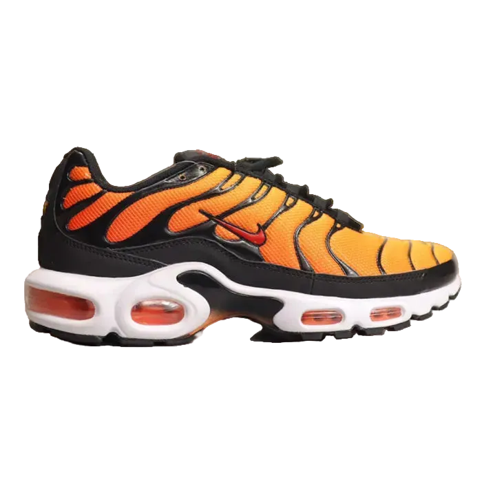 Air max tn