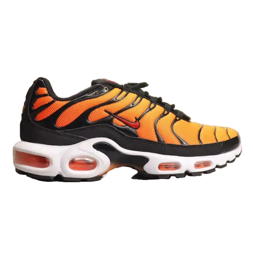 Air max tn